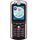 Motorola E770