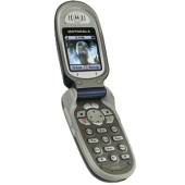 Motorola V295