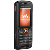 Sony Ericsson W220i