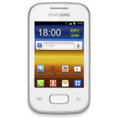 Samsung S5301