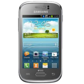 Samsung S6313T